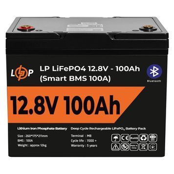 Акумулятор LP LiFePO4 12V (12,8V) - 100 Ah (1280Wh) (Smart BMS 100А) з BT пластик для ДБЖ