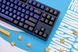 Akko Клавиатура механическая Akko 3087 DS Horizon 87Key, CS Pink V2, USB-A, EN/UKR, No LED, Синий