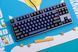 Akko Клавіатура механічна 3087 DS Horizon 87Key, CS Pink V2, USB-A, EN/UKR, No LED, Синій