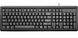 HP Keyboard 100 USB