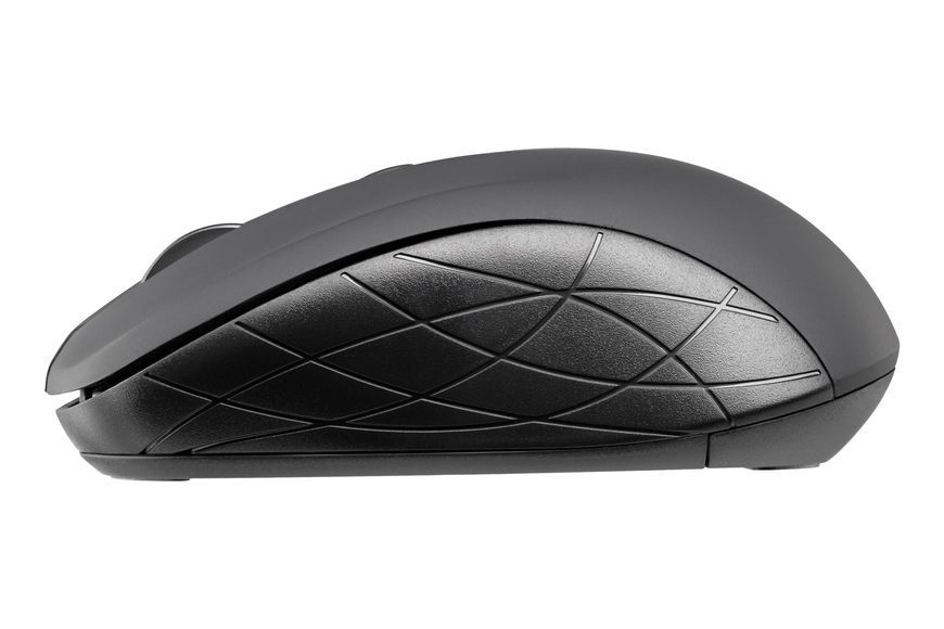 2E Миша MF216 WL Black