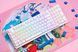 Akko Клавиатура механическая 3098N Blue&white 98Key, TTC Honey, BT/WL/USB-A, Hot-swappable, EN/UKR, RGB, Белый