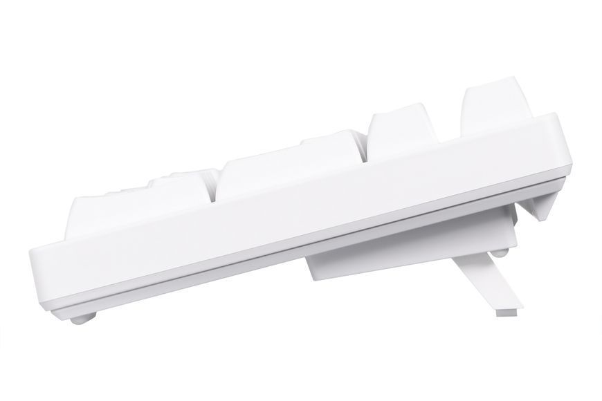 Akko Клавиатура механическая 3098N Blue&white 98Key, TTC Honey, BT/WL/USB-A, Hot-swappable, EN/UKR, RGB, Белый