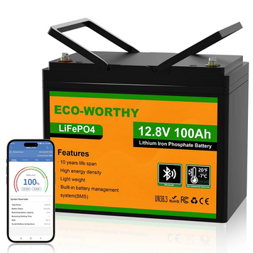 Аккумуляторная батарея Eco-Worthy LiFePO4 (Eco-Worthy-12100bt)