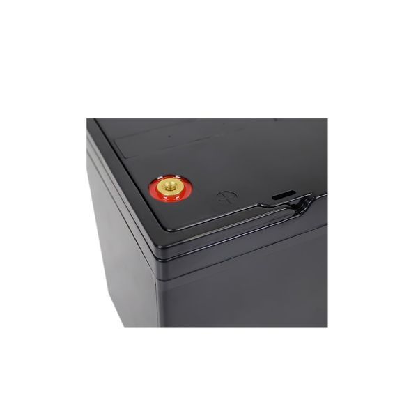 Акумулятор LP LiFePO4 24V (25,6V) - 52 Ah (1331Wh) (BMS 60A/30A) пластик для ДБЖ