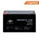 Аккумулятор AGM LPM 6V - 12 Ah