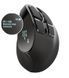 Trust Voxx Rechargeable Ergonomic WL Black