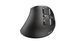 Trust Voxx Rechargeable Ergonomic WL Black