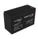 Акумулятор AGM LP 12V - 7 Ah Silver